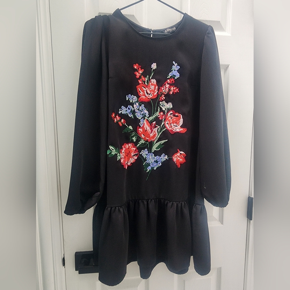 Express Black Dress with Red and Blue Floral Embroidery